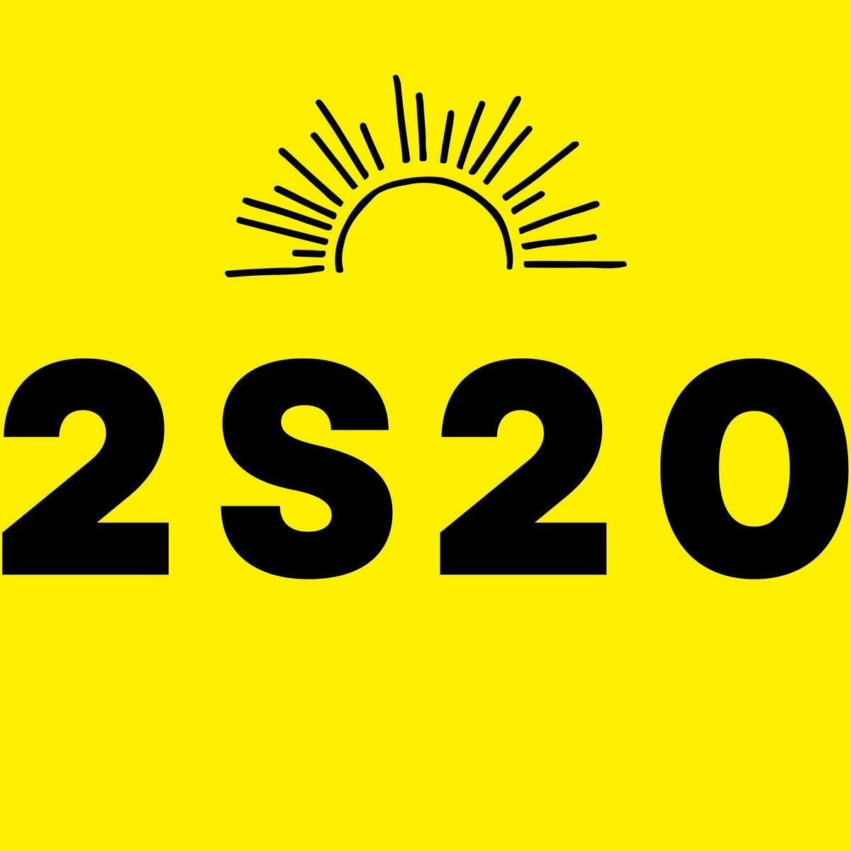 2S20